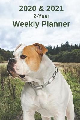 Book cover for 2020 & 2021 Weekly Planner - Two Year Appointment Book Gift - Two-Year Agenda Notebook for American Bulldog Owners