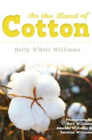 Cover of In The Land of Cotton