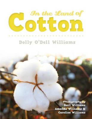 Book cover for In The Land of Cotton