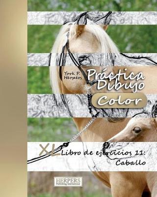 Book cover for Práctica Dibujo [Color] - XL Libro de ejercicios 11