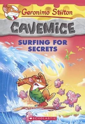 Book cover for Surfing for Secrets