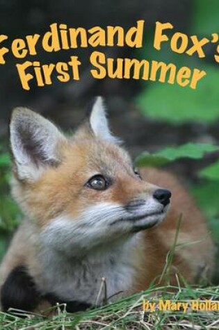 Cover of Ferdinand Fox's First Summer