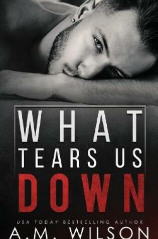 Cover of What Tears Us Down