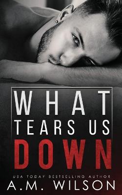 Book cover for What Tears Us Down