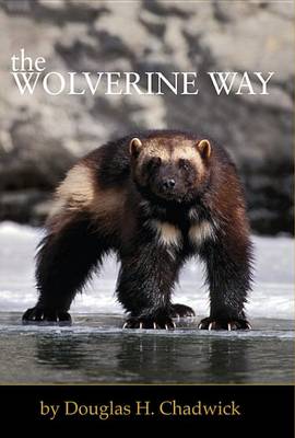 Book cover for The Wolverine Way