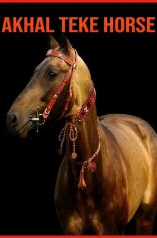 Cover of Akhal Teke Horse