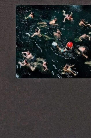 Cover of Francine Fleischer: The Water in Between