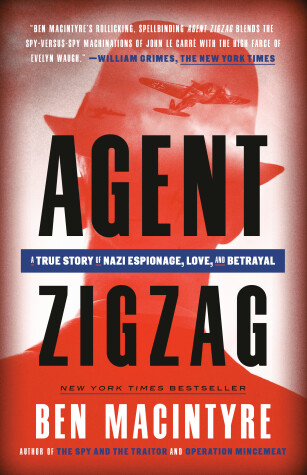 Book cover for Agent Zigzag