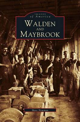 Cover of Walden and Maybrook