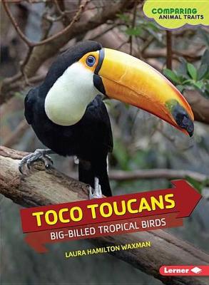 Cover of Toco Toucans