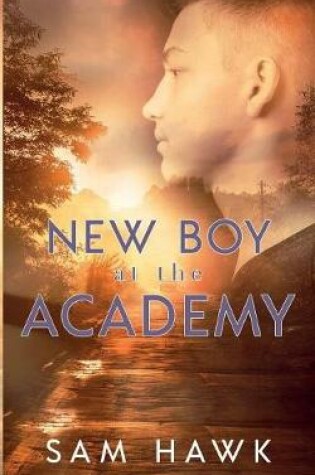Cover of New Boy at the Academy