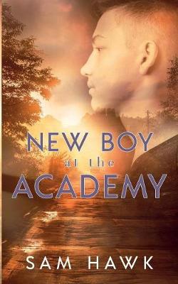 Book cover for New Boy at the Academy