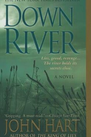 Cover of Down River