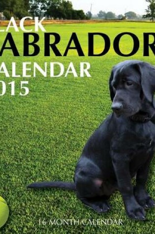 Cover of Black Labradors Calendar 2015