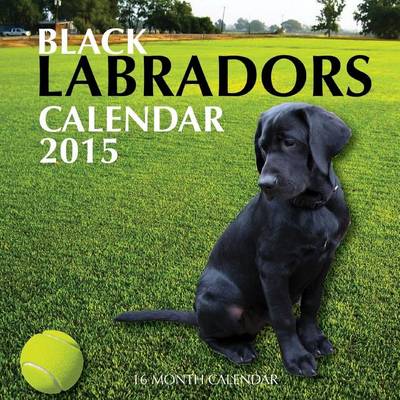 Book cover for Black Labradors Calendar 2015