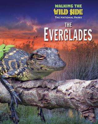 Book cover for The Everglades