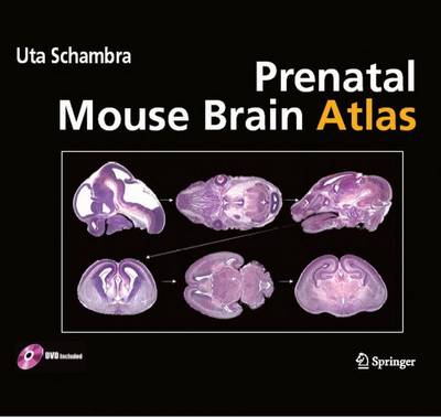 Book cover for Prenatal Mouse Brain Atlas