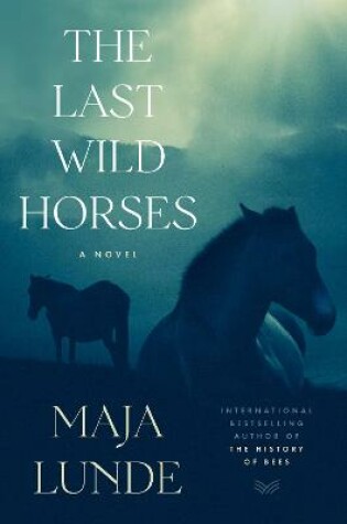 Cover of The Last Wild Horses