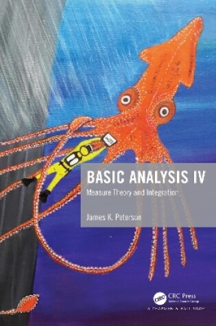 Cover of Basic Analysis IV