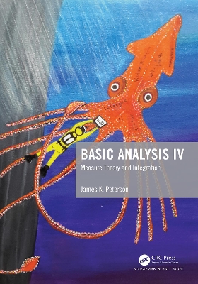 Book cover for Basic Analysis IV