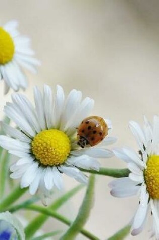 Cover of Daisy Flowers and Ladybug in Springtime Journal