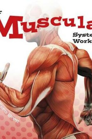 Cover of Muscular