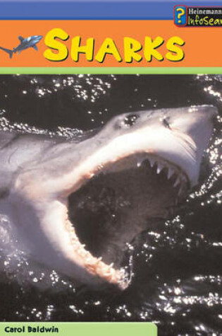 Cover of Sea Creatures: Sharks HB