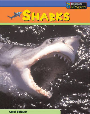 Book cover for Sea Creatures: Sharks HB