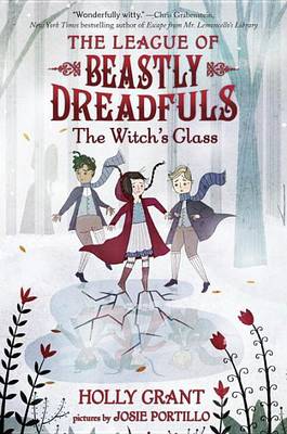 Book cover for The Witch's Glass