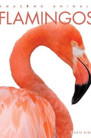 Cover of Flamingos