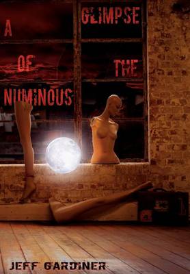 Book cover for A Glimpse of the Numinous
