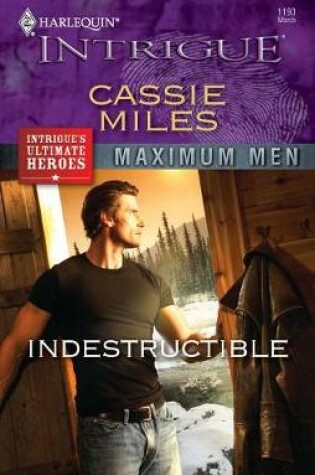 Cover of Indestructible