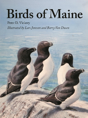 Book cover for Birds of Maine