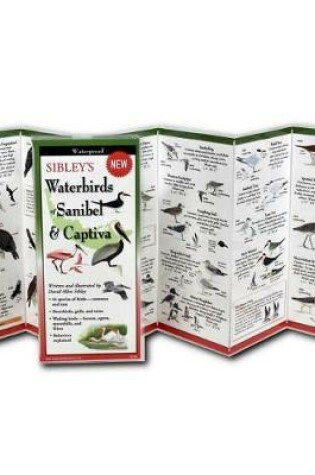 Cover of Sibley's Waterbirds of Sanibel & Captiva