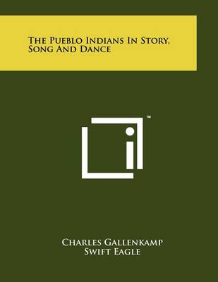 Book cover for The Pueblo Indians In Story, Song And Dance