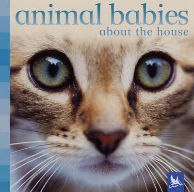 Cover of Animal Babies About the House