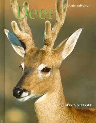 Book cover for Deer