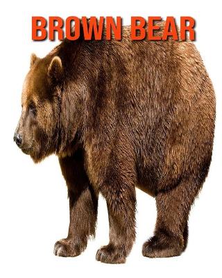 Book cover for Brown Bear