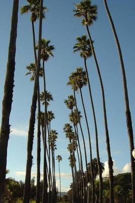 Book cover for Santa Monica Boulevard