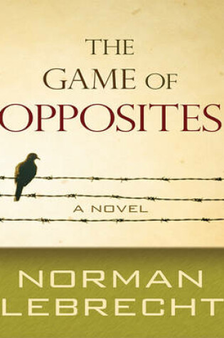 Cover of The Game of Opposites