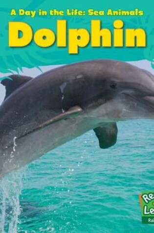 Cover of Dolphin