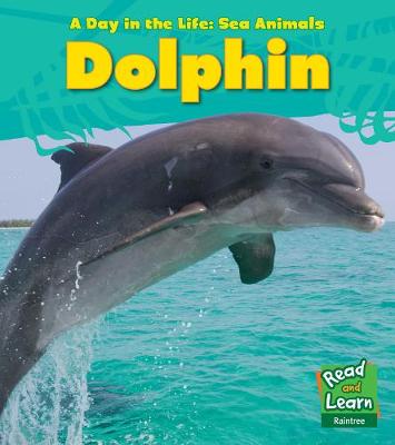 Book cover for Dolphin