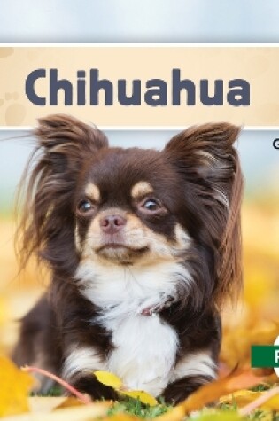 Cover of Chihuahuas (Spanish Version)