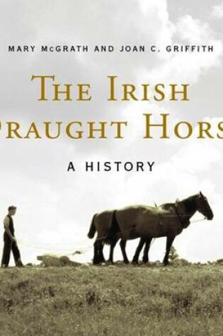 Cover of The Irish Draught Horse