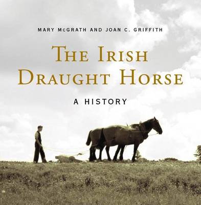 Book cover for The Irish Draught Horse