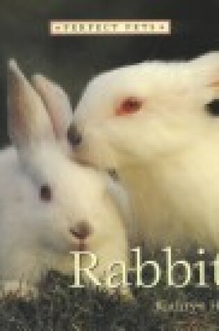 Cover of Rabbits