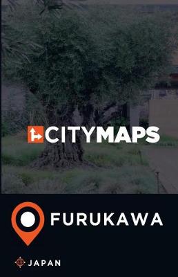 Book cover for City Maps Furukawa Japan