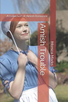 Book cover for Amish Trouble