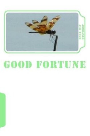 Cover of Good Fortune