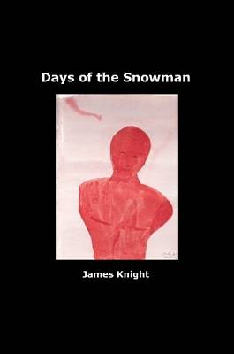 Book cover for Days of the Snowman